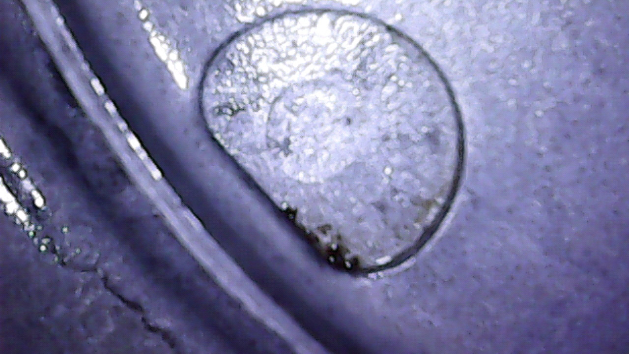 usbcamera20220507135645.jpg